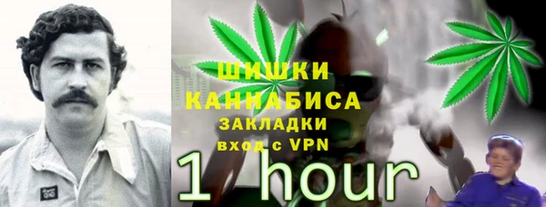 PSILOCYBIN Осташков
