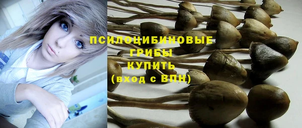 молекула духа Абинск