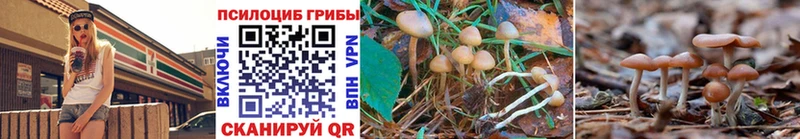 Псилоцибиновые грибы Magic Shrooms  Раменское 
