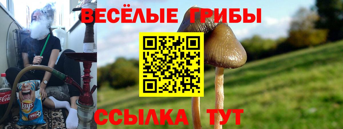 Псилоцибиновые грибы GOLDEN TEACHER Раменское