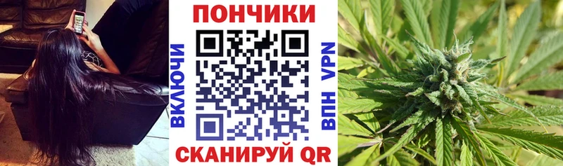 Бошки Шишки ГИДРОПОН  Раменское 